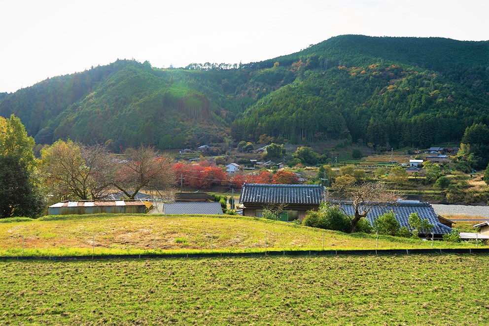 Scenery from accommodation